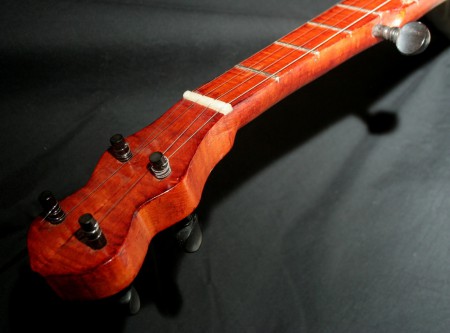 Mountain banjo des appalaches